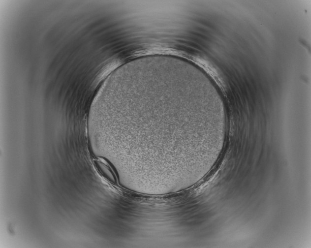 X0000097951241200804140955