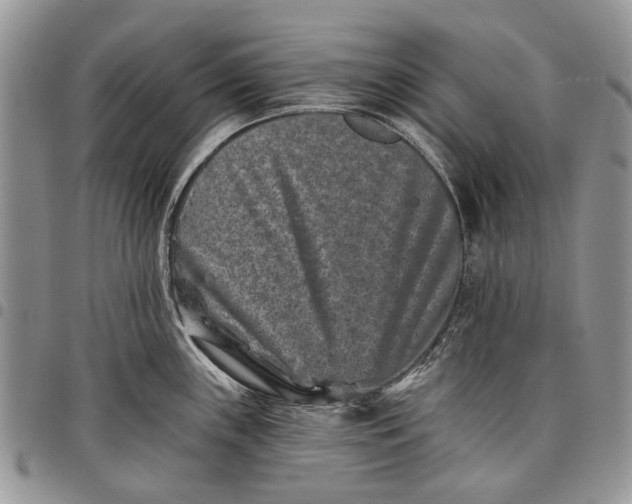 X0000097951243200804140955