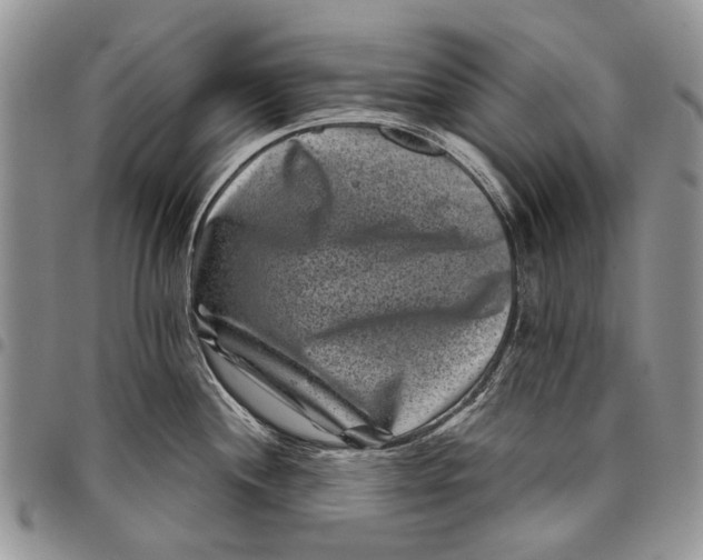X0000097951244200804140955