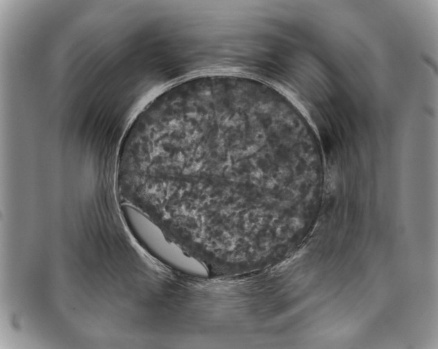X0000097951245200804140955