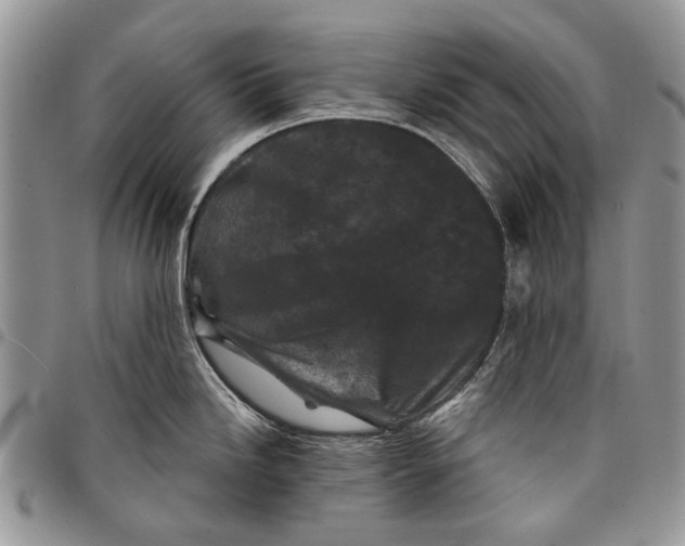 X0000097951246200804140955