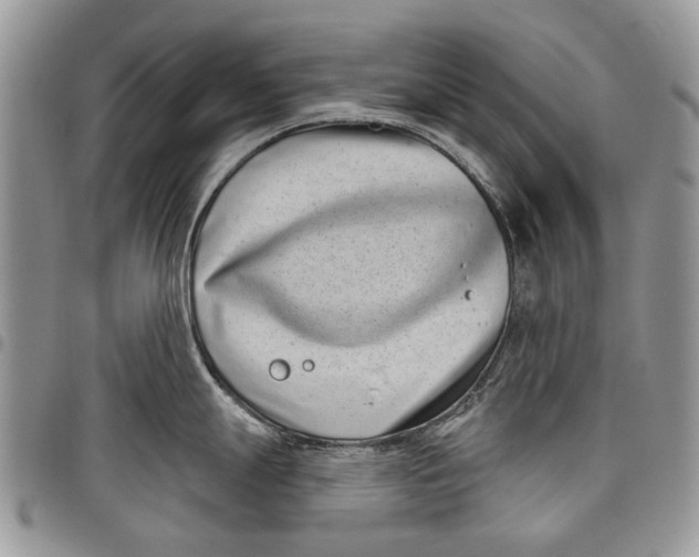 X0000097951247200804140955