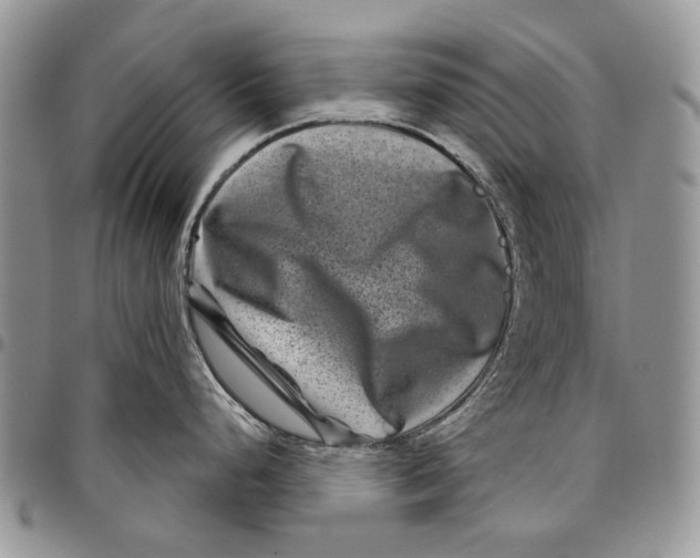 X0000097951248200804140955
