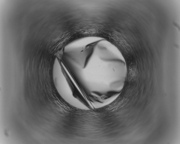 X0000097951250200804140954