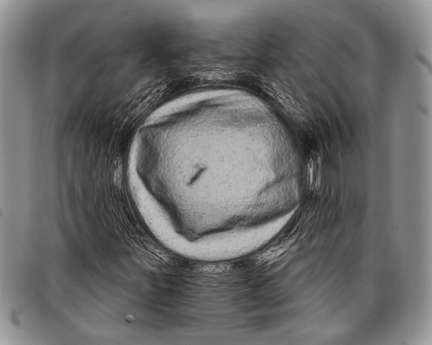 X0000097951251200804140954