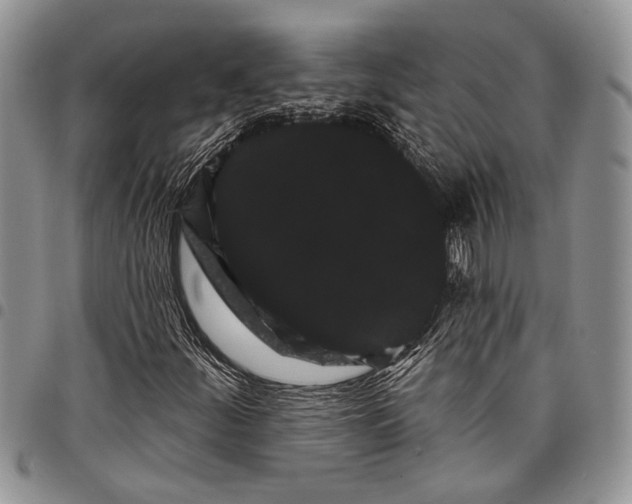 X0000097951252200804140954