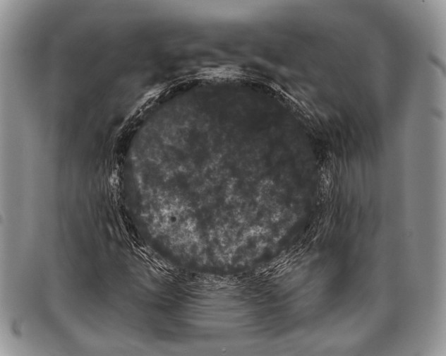 X0000097951254200804140954