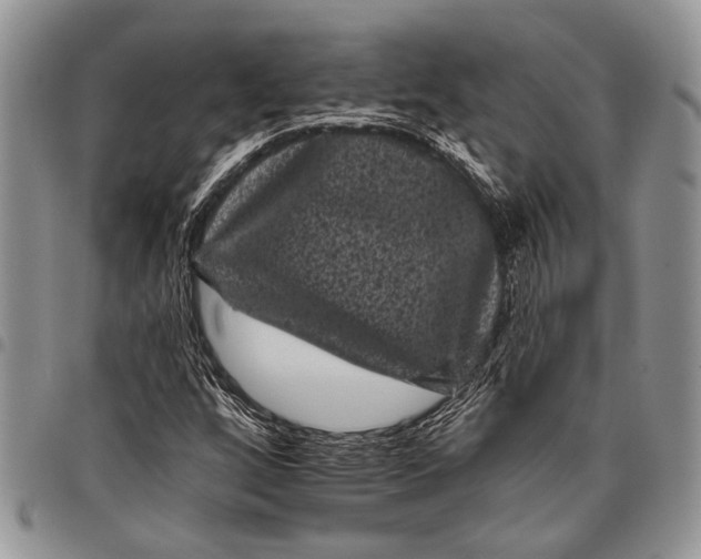 X0000097951256200804140954