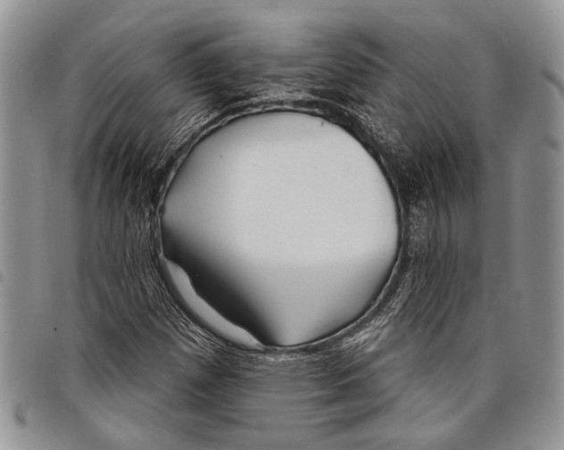 X0000097951257200804140954