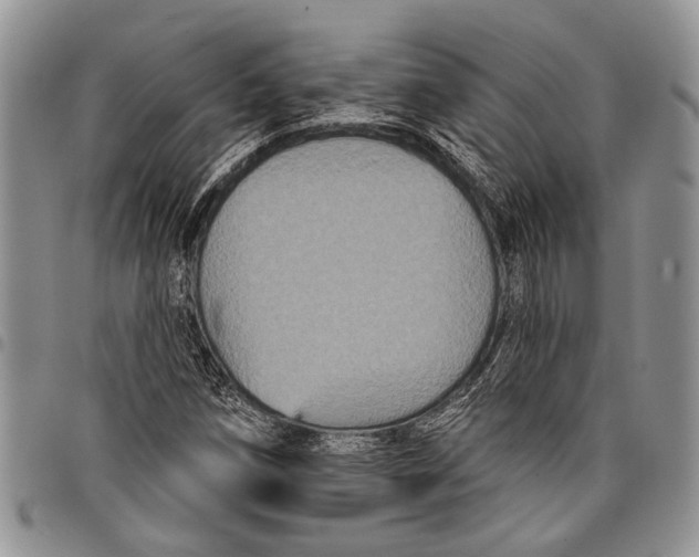X0000097951258200804140954