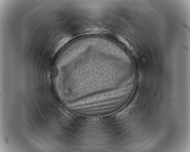 X0000097951259200804140954