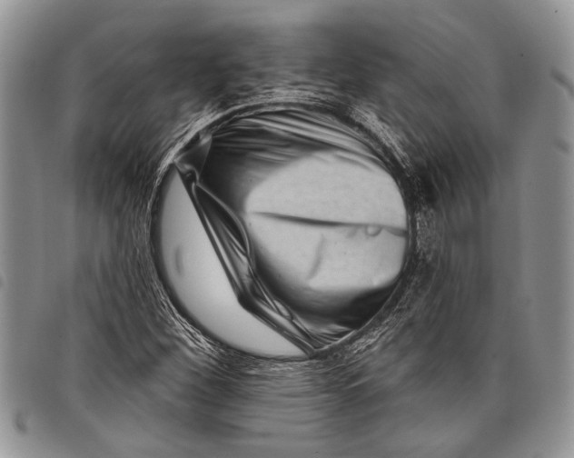 X0000097951260200804140954