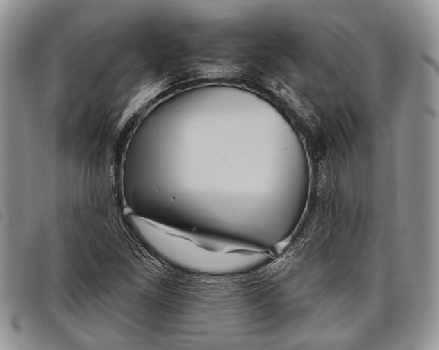 X0000097951261200804140954