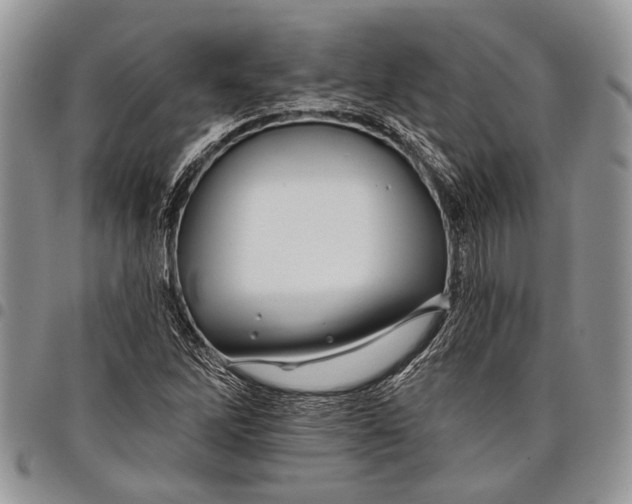 X0000097951262200804140954