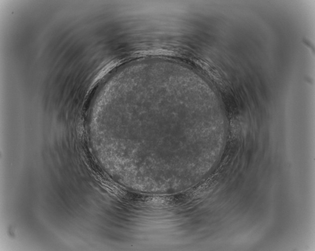X0000097951266200804140954