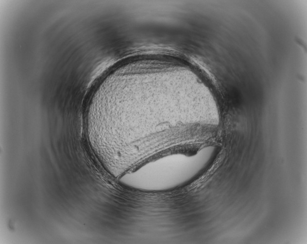 X0000097951267200804140954