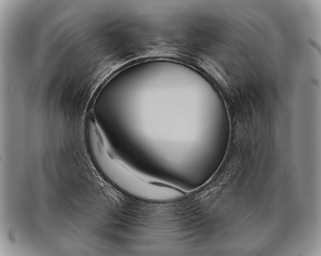 X0000097951268200804140954