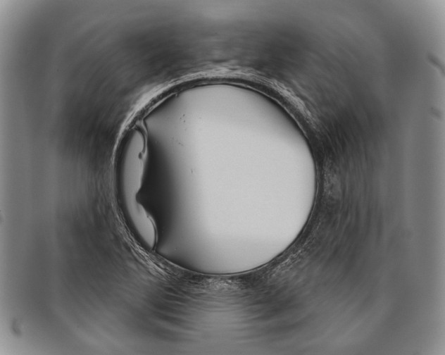 X0000097951270200804140954
