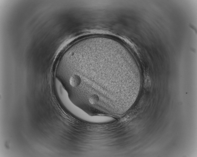 X0000097951271200804140954