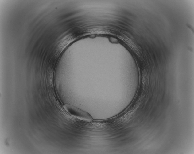 X0000097951273200804140954