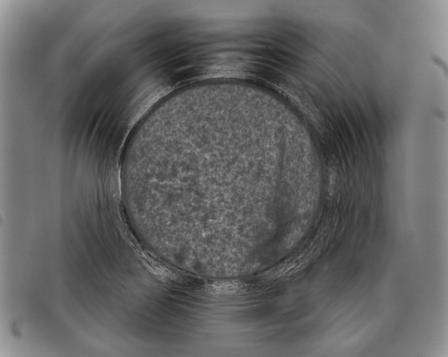 X0000097951274200804140954