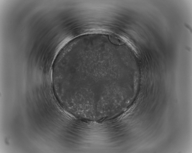 X0000097951275200804140954