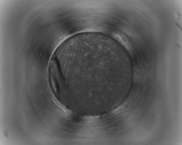 X0000097951276200804140954