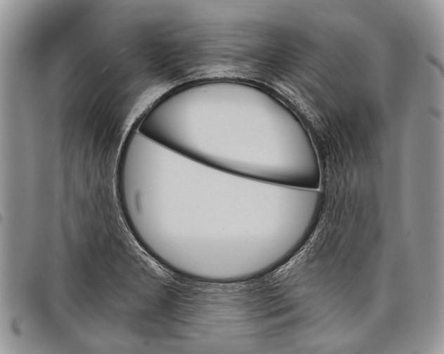 X0000097951277200804140954