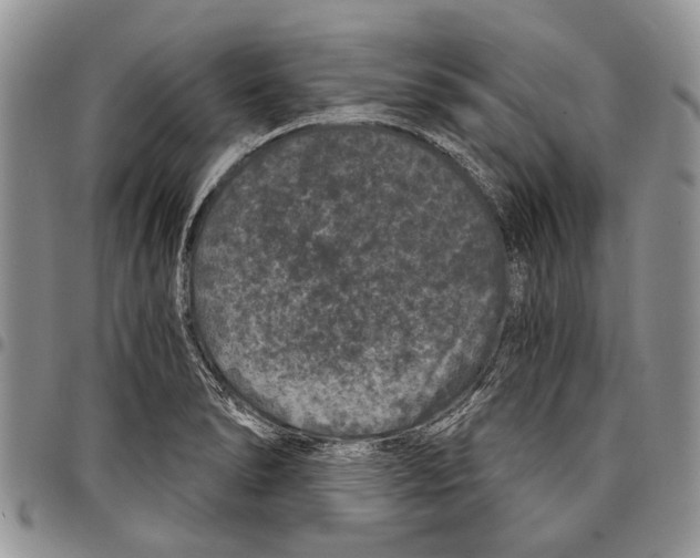 X0000097951278200804140953