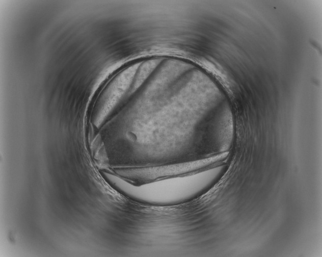 X0000097951280200804140953