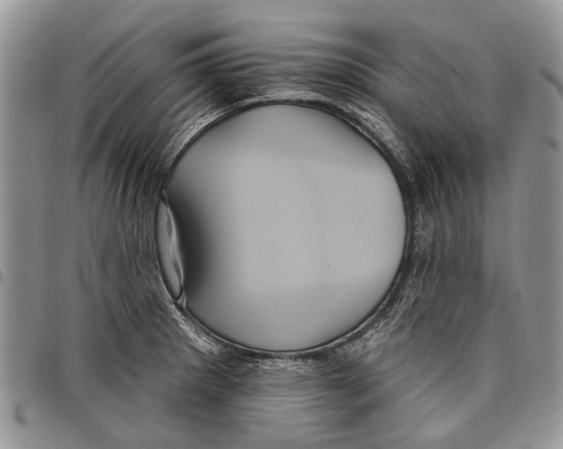 X0000097951281200804140953