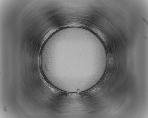 X0000097951282200804140953