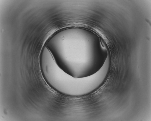 X0000097951283200804140953