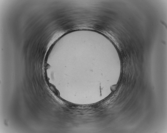 X0000097951285200804140953