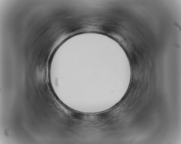 X0000097951286200804140953