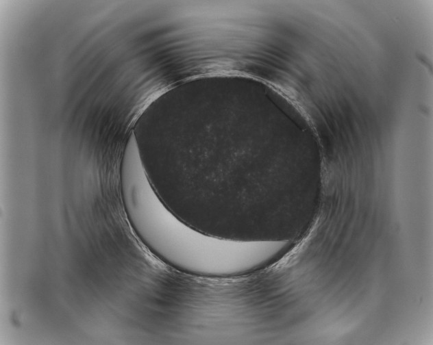 X0000097951289200804140953