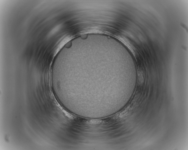 X0000097951290200804140953