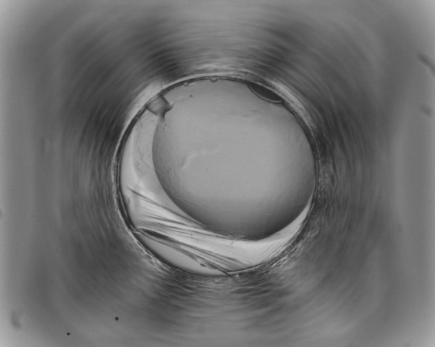 X0000097951291200804140953