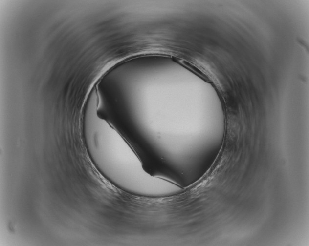 X0000097951292200804140953