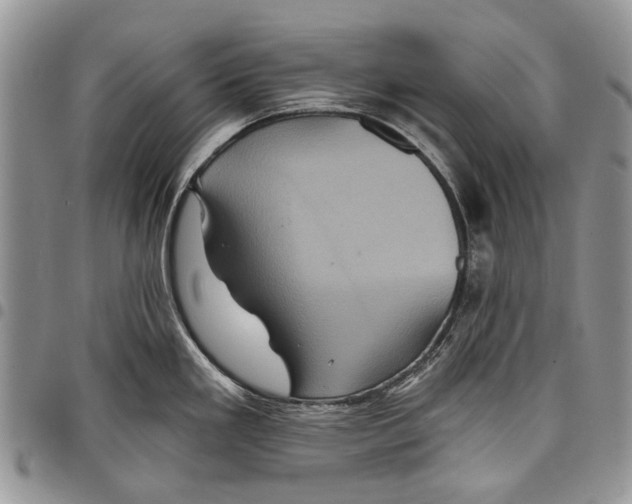 X0000097951293200804140953