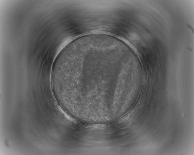 X0000097951294200804140953