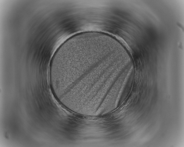X0000097951295200804140953