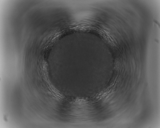 X0000097951297200804140952