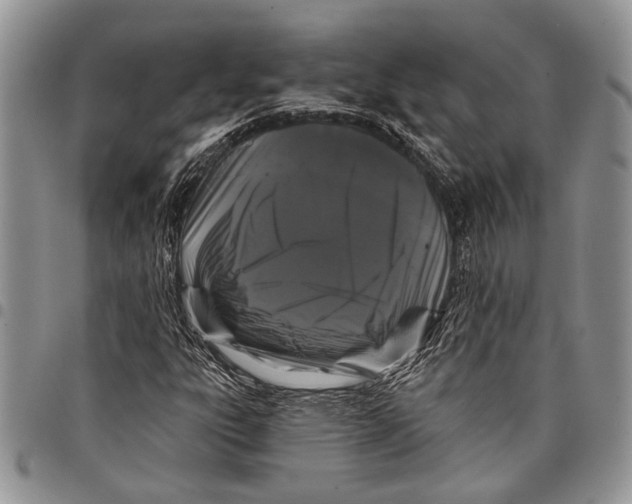 X0000097951303200804140953