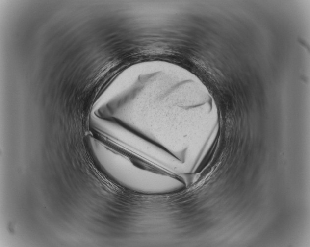 X0000097951305200804140953