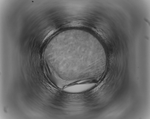 X0000097951306200804140953
