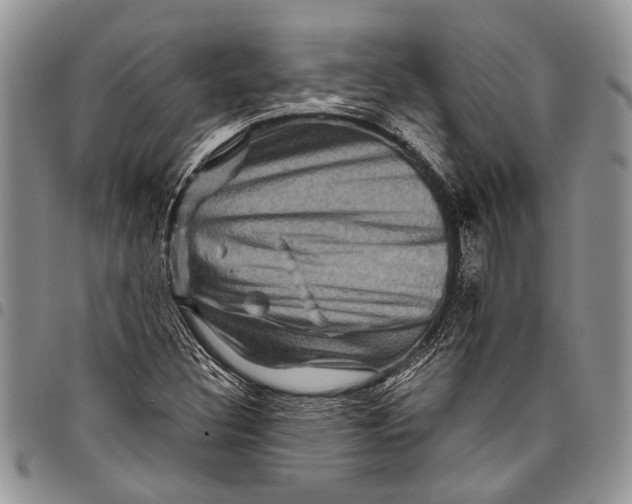 X0000097951308200804140953