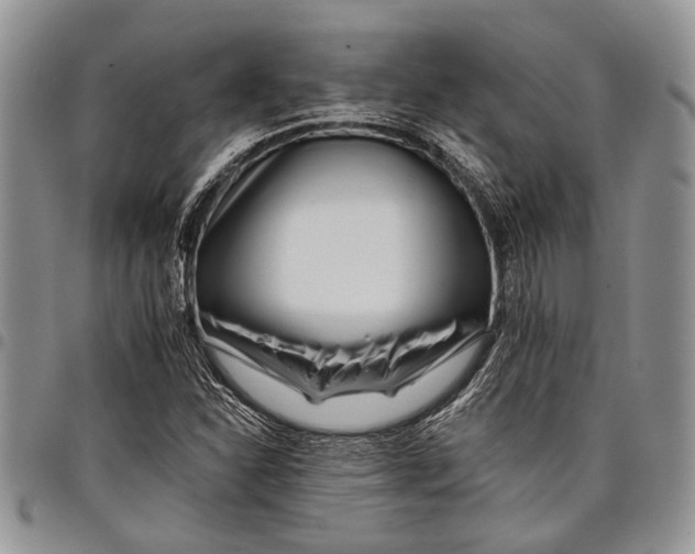 X0000097951310200804140953