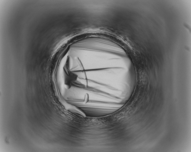 X0000097951311200804140953