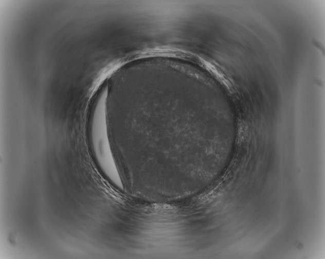 X0000097951312200804140953